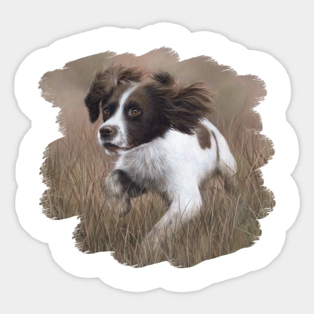 Springer Spaniel painting Sticker by rachelstribbling